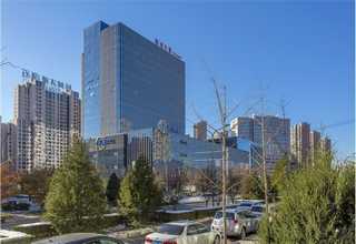 大批量手提袋哪家好