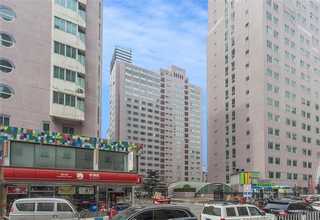 杭州公路绿化工程质量